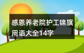 感恩養(yǎng)老院護(hù)工錦旗用語大全14字