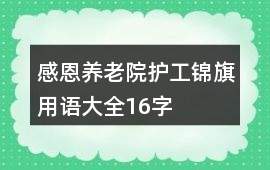 感恩養老院護工錦旗用語大全16字