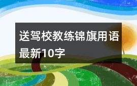 送駕校教練錦旗用語最新10字