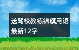 送駕校教練錦旗用語最新12字