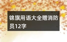 錦旗用語大全贈消防員12字