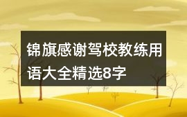 錦旗感謝駕校教練用語大全精選8字