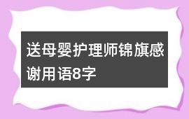 送母嬰護理師錦旗感謝用語8字