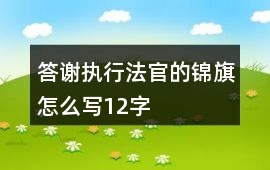 答謝執(zhí)行法官的錦旗怎么寫12字