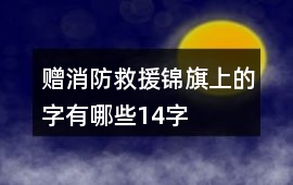 贈消防救援錦旗上的字有哪些14字