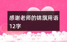 感謝老師的錦旗用語12字