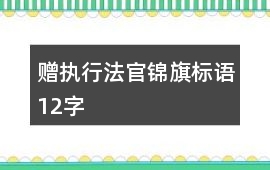 贈執(zhí)行法官錦旗標語12字