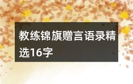 教練錦旗贈言語錄精選16字