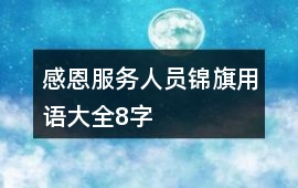 感恩服務人員錦旗用語大全8字