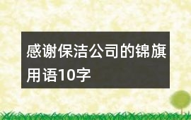 感謝保潔公司的錦旗用語10字
