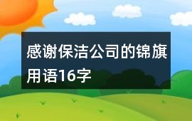 感謝保潔公司的錦旗用語16字