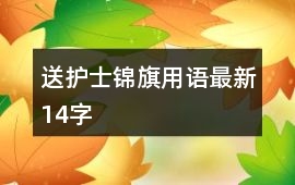 送護士錦旗用語最新14字