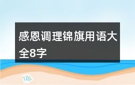 感恩調理錦旗用語大全8字