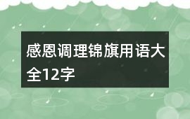 感恩調理錦旗用語大全12字