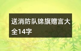 送消防隊錦旗贈言大全14字