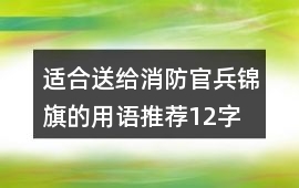 適合送給消防官兵錦旗的用語推薦12字