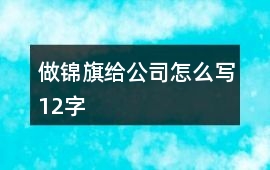 做錦旗給公司怎么寫12字