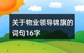 關于物業領導錦旗的詞句16字