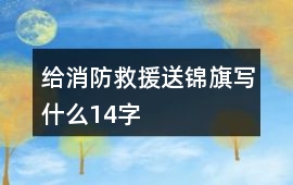 給消防救援送錦旗寫什么14字