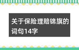關于保險理賠錦旗的詞句14字