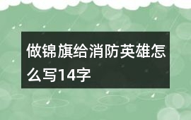 做錦旗給消防英雄怎么寫14字