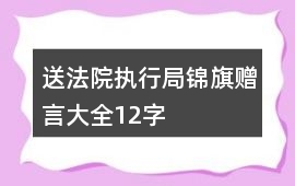 送法院執行局錦旗贈言大全12字