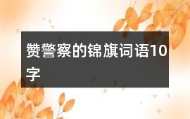 贊警察的錦旗詞語10字