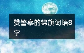 贊警察的錦旗詞語8字