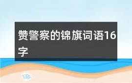 贊警察的錦旗詞語16字