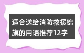 適合送給消防救援錦旗的用語推薦12字