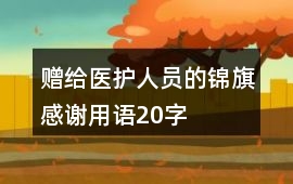贈給醫(yī)護人員的錦旗感謝用語20字