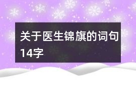 關于醫生錦旗的詞句14字