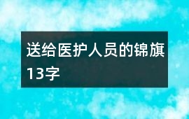 送給醫護人員的錦旗13字