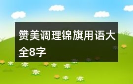 贊美調理錦旗用語大全8字