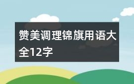 贊美調理錦旗用語大全12字