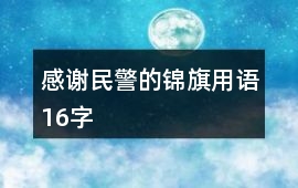 感謝民警的錦旗用語16字