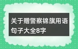 關于贈警察錦旗用語句子大全8字