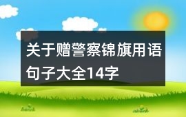 關于贈警察錦旗用語句子大全14字