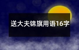 送大夫錦旗用語(yǔ)16字