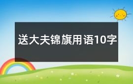 送大夫錦旗用語10字