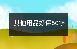 其他用品好評60字