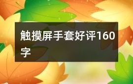 觸摸屏手套好評160字