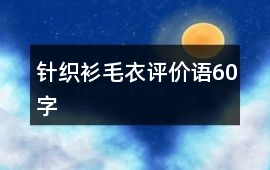 針織衫、毛衣評價語60字