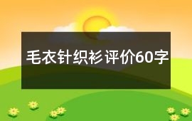 毛衣、針織衫評價60字