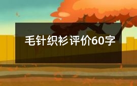 毛針織衫評價60字