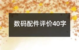 數碼配件評價40字