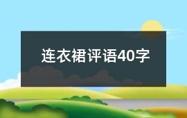 連衣裙評語40字