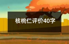 核桃仁評價40字