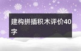 建構(gòu)、拼插積木評價(jià)40字