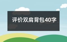評價雙肩背包40字